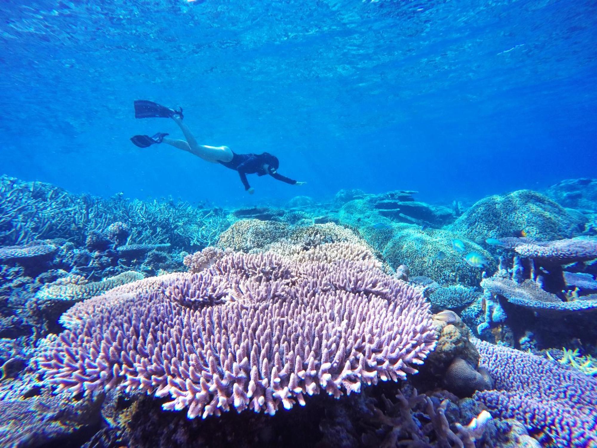 Bolilanga Island Resort - Togean Island Angkayo 외부 사진