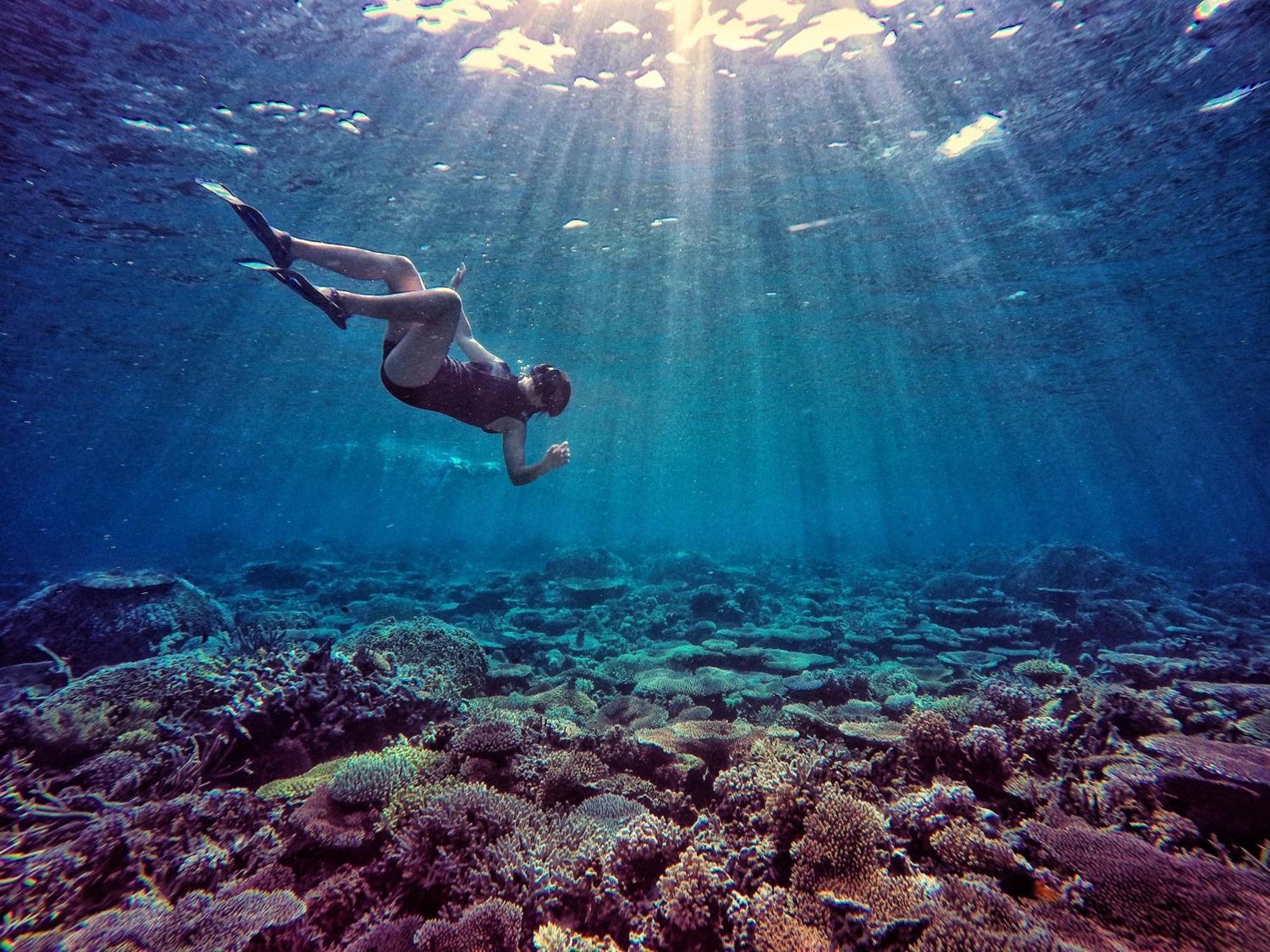 Bolilanga Island Resort - Togean Island Angkayo 외부 사진